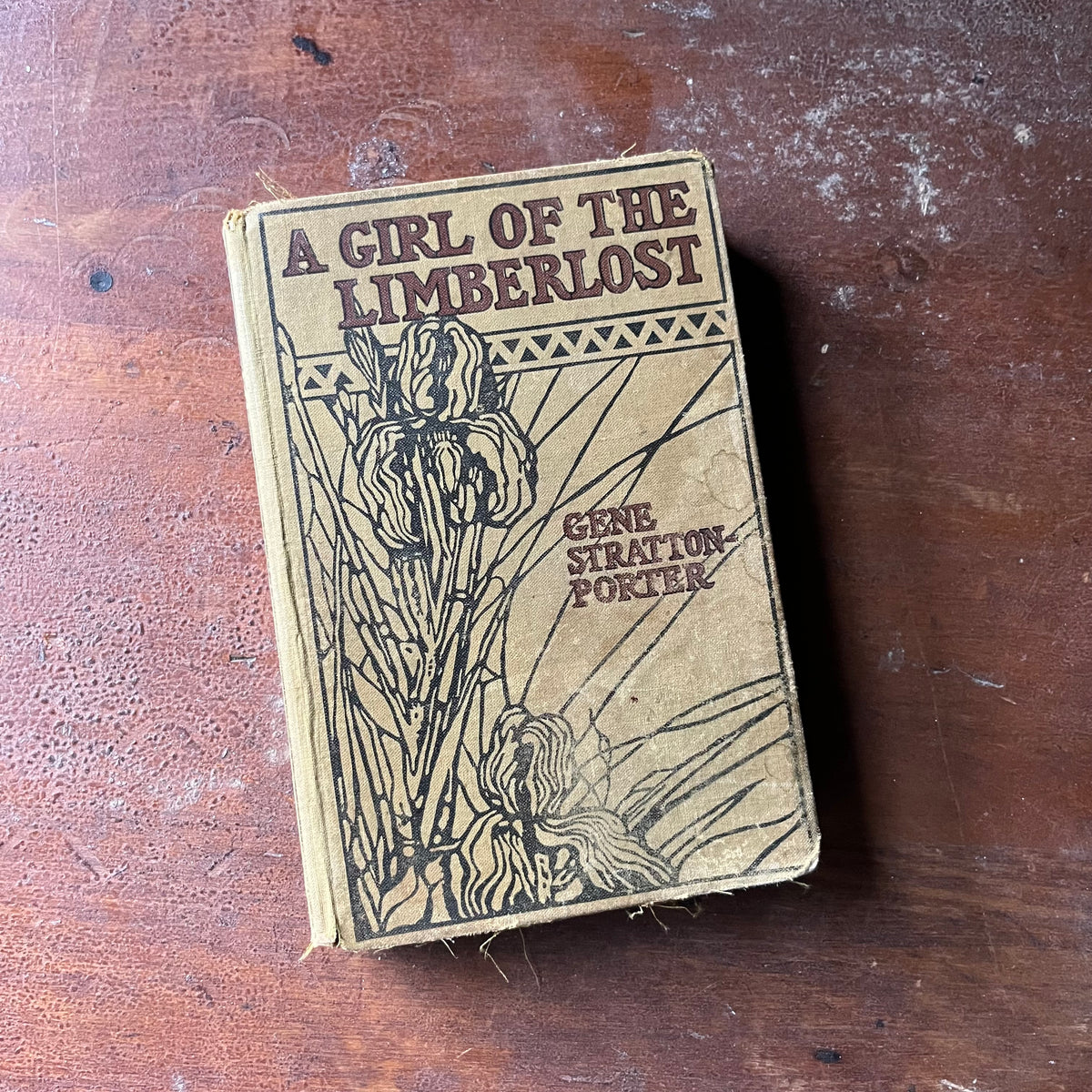 antique novel, 1909 Novel - A Girl of Limberlost written by Gene Stratton-Porter with illustrations by Wladyslaw T. Benda - view of the embossed front cover with an iris on it