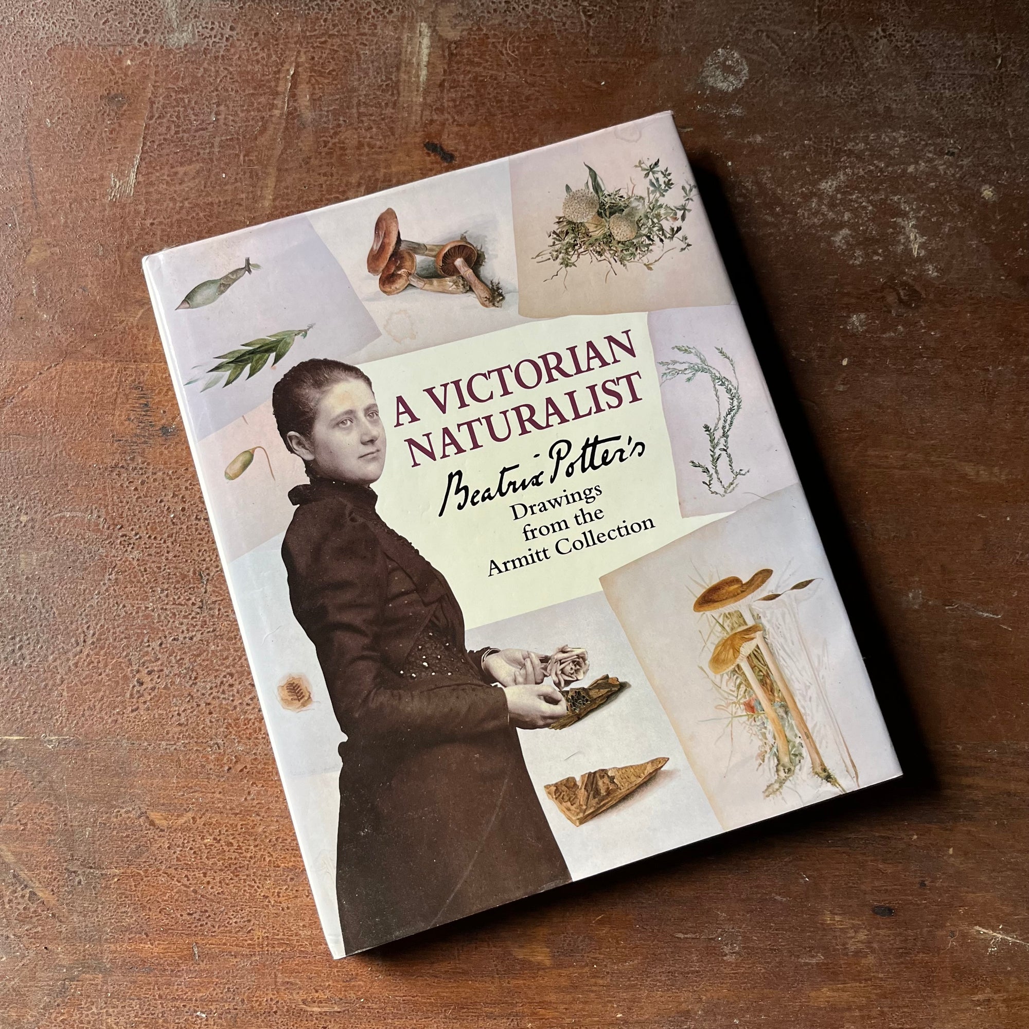 nature sketchbook, Victorian Era, Victorian England, Beatrix Potter Sketches - A Victorian Naturalist Beatrix Potter's Drawings from the Armitt Collection - view of the dust jacket's front cover with a photograph & sketches of Beatrix Potter