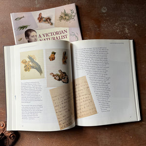nature sketchbook, Victorian Era, Victorian England, Beatrix Potter Sketches - A Victorian Naturalist Beatrix Potter's Drawings from the Armitt Collection - view of the nature sketches of Beatrix Potter