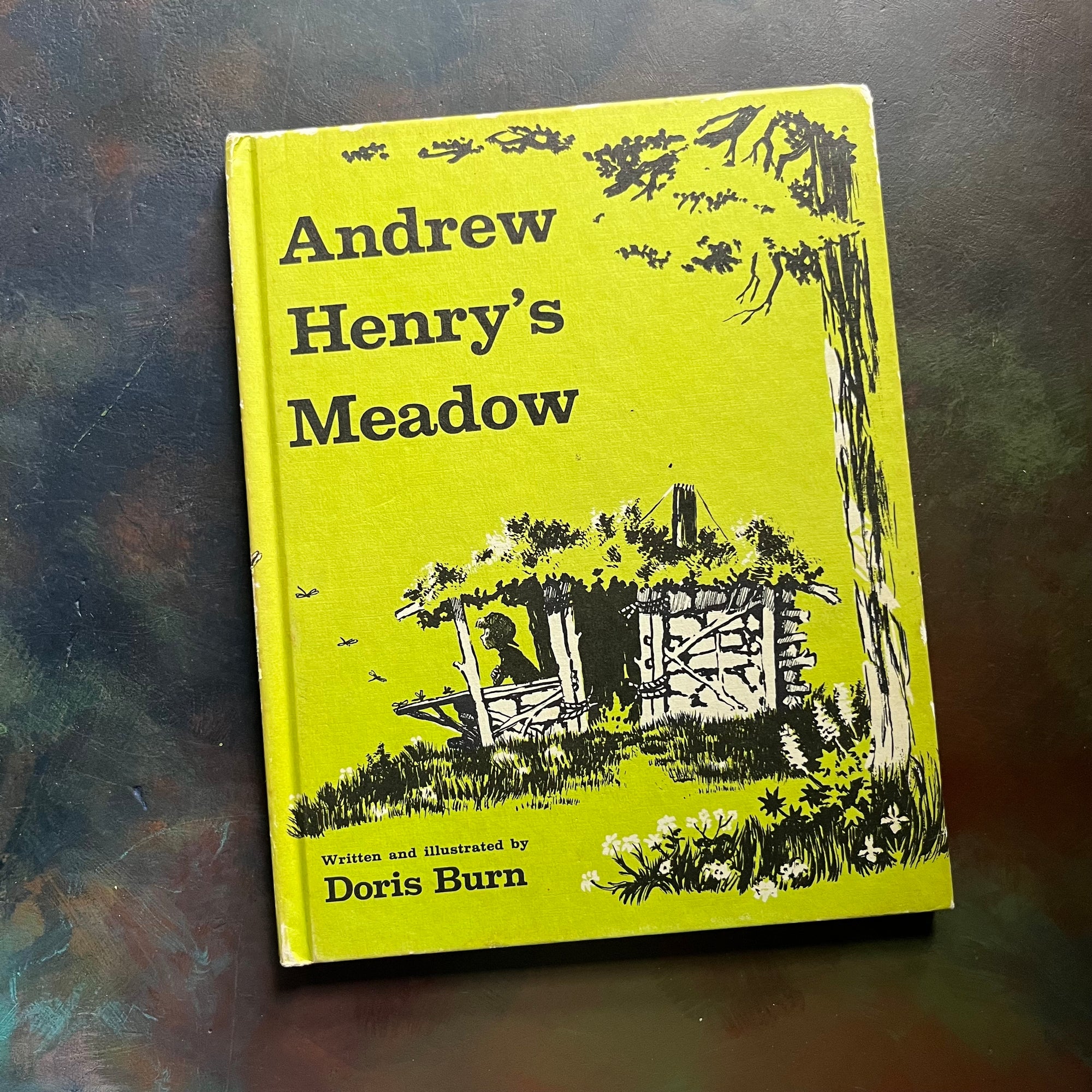 Andrew Henry's Meadow written & illustrated by Doris Burn-vintage children's picture book-1965 Weekly Reader Edition-view of the front cover
