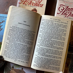 vintage children's chapter books - Bantam Books Editions of Anne of Green Gables Book Set written by L.M. Montgomery - view of the inside content view - sample of what the pages look like & the size of the print