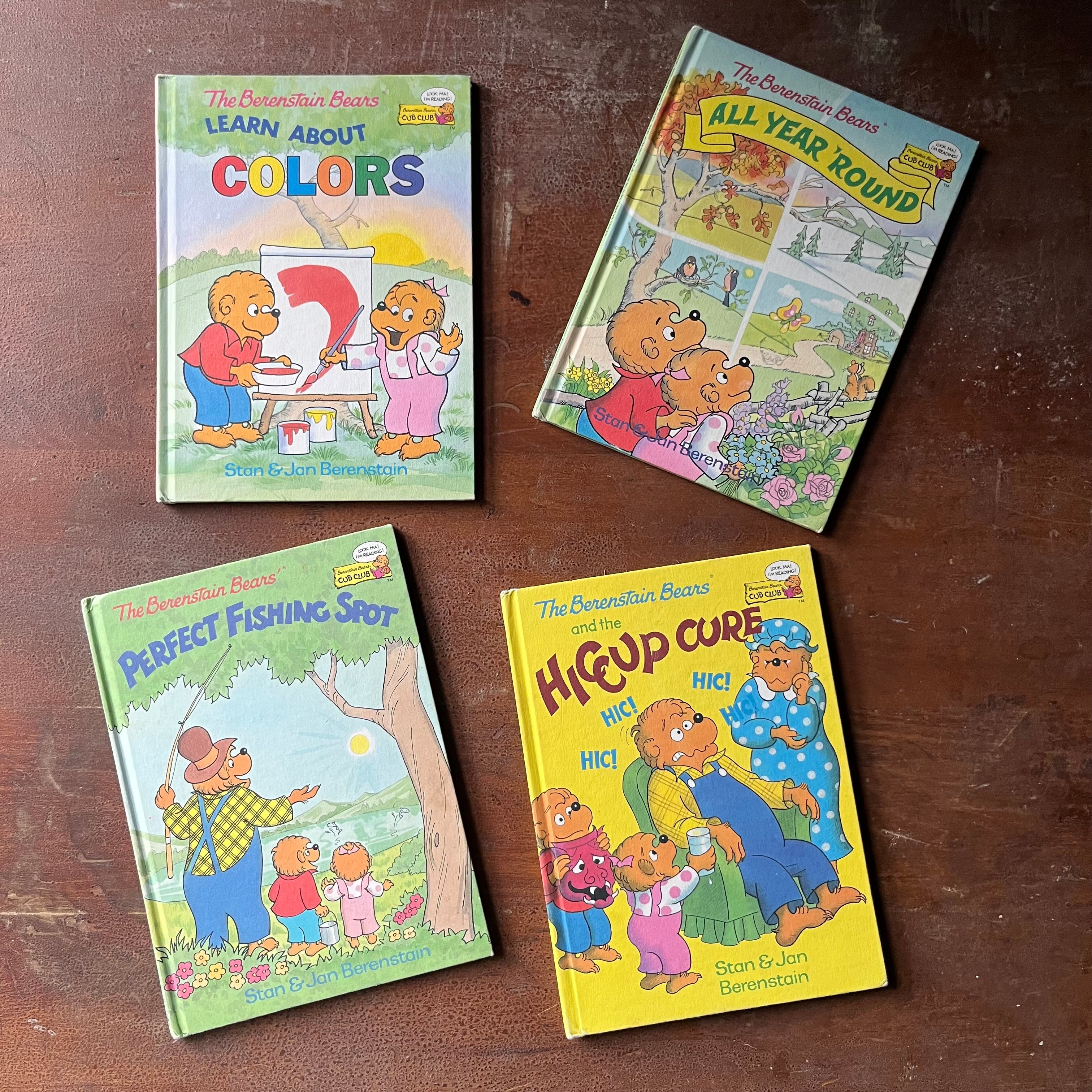 The Berenstain Bears Book Set - The Hiccup Cure, Perfect Fishing Spot, -  Log Cabin Vintage