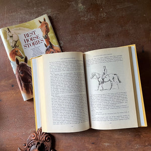 vintage horse stories for children, vintage book for children - Best Horse Stories Compiled by Lesley O'Mara with a foreword by John Francombe , MBE - view of the illustrations