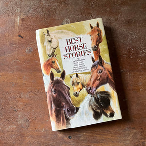 vintage horse stories for children, vintage book for children - Best Horse Stories Compiled by Lesley O'Mara with a foreword by John Francombe , MBE - view of the dust jacket's front cover