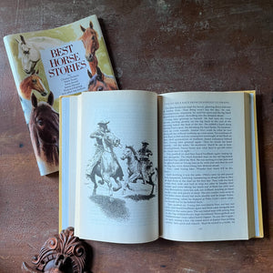 vintage horse stories for children, vintage book for children - Best Horse Stories Compiled by Lesley O'Mara with a foreword by John Francombe , MBE - view of the illustrations