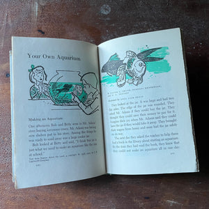 vintage children's book, children's book club book - Best in Children's Books 1957 Volume 4 - view of the illustrations