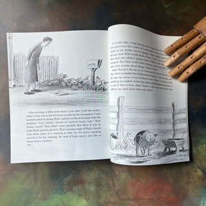 Bill Peet An Autobiography-vintage history book for kids-Caldecott Honor Book-vintage biography-Disney Illustrator-view of the illustrations