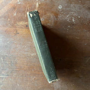 antique children's chapter book - Charles Dickens Classics - Boys and Girls of Dickens Hardcover Edition - view of the spine