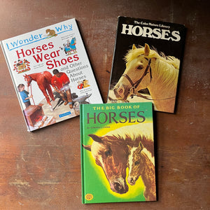 vintage horse books, vintage children's picture books, Children's Horse Book Set-The Color Nature Library Horses, The Big Book of Horses & I Wonder Why Horses Wear Shoes - view of the front covers