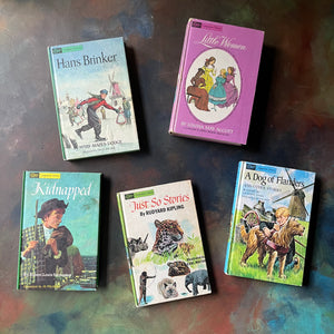 Companion Library Children's Classics Book Set-Hans Brinker-Little Women-Kidnapped-Just So Stories-A Dog of Flanders-view of the front covers