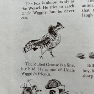 Dandelion Library Book Set of 7-vintage children's chapter books-classic children's literature-view of the ruffed grouse - PA's State Bird in The Uncle Wiggily Book by Howard R. Garis