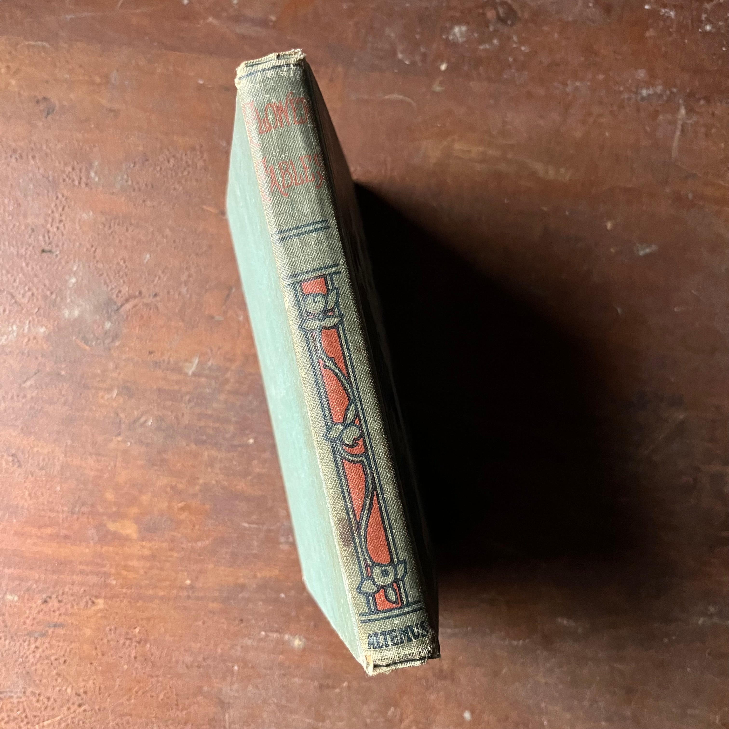 antique children's book - 1898 Altemus' Young People's Library Edition of Flower Fables by Louisa May Alcott - view of the spine