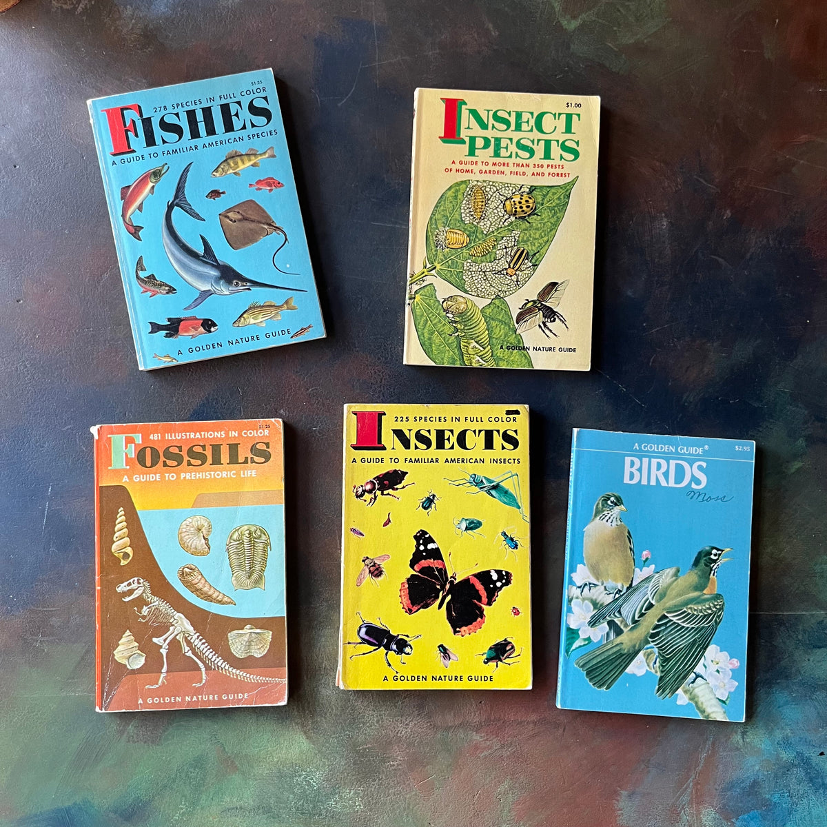 Golden Nature Pocket Guides Book Set-Birds-Insects-Fossils-Insect Pests-Fishes-vintage nature guides-view of the front covers