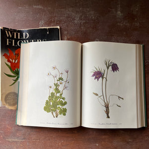 RESERVED FOR STEPHANIE - Wild Flowers Of America by Mary Vaux Walcott