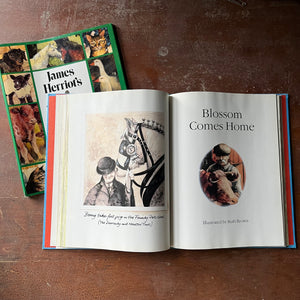 vintage children's animal stories, vintage short stories for children - James Herriot's Treasury for Children - view of the illustrations