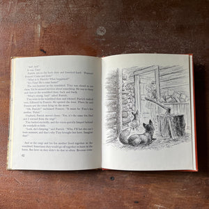 vintage children's chapter book, vintage Weekly Reader Children's Book Club Edition - Little Dog Lost by Rene Guillet with illustrations by Wallace Tripp - view of the illustrations