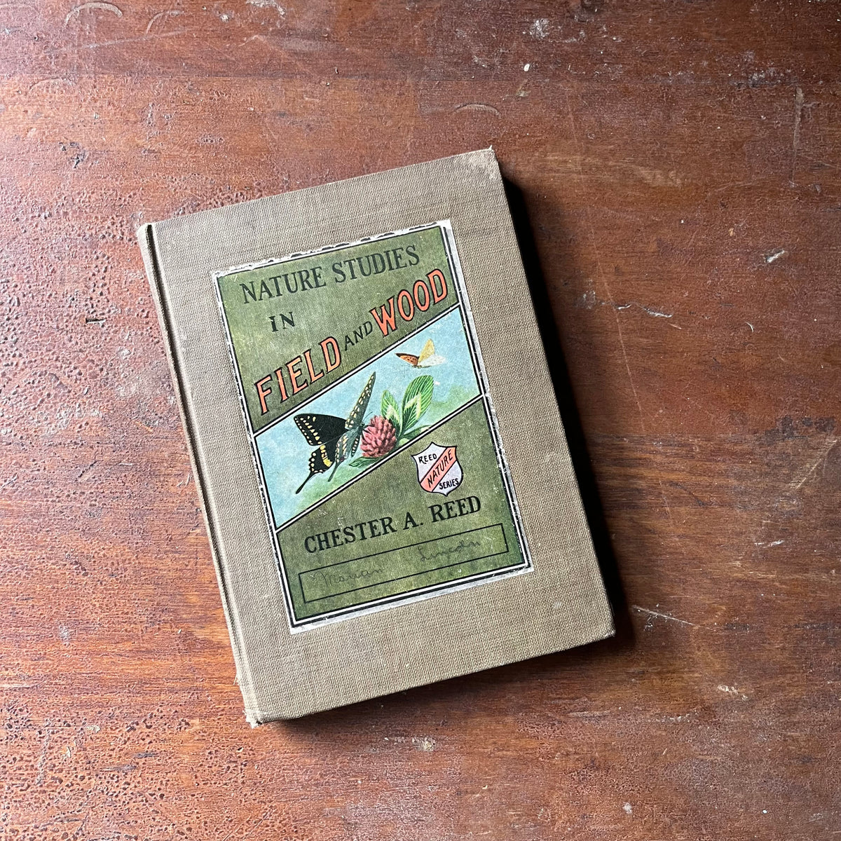 antique nature guide, pocket nature guide, field study in field & wood - Nature Studies in Field and Wood written and illustrated by Chester A. Reed a 1911 edition - view of the front cover