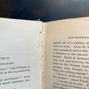 Pair of Harry Castlemon Books-Two Ways of Becoming a Hunter and Don Gordon's Shooting Box-antique children's chapter books-view of the condition of one page