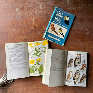 vintage nature guides - Pair of Peterson Field Guides-Field Guide to the Birds & Field Guide to Wildflowers - view of the illustrations