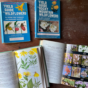vintage nature guides - Pair of Peterson Field Guides - A Field Guide to Wildflowers & A Field Guide to Guide to Rocky Mountains Wildflowers - view of the full color illustrations & photographs