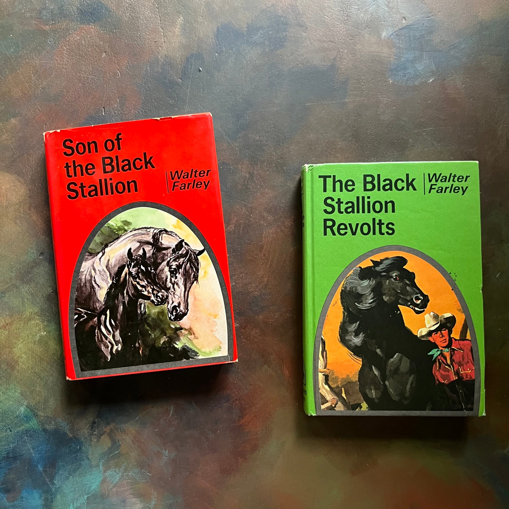 Pair of The Black Stallion Books written by Walter Farley-Son of The Black Stallion-The Black Stallion Revolts-vintage adventure horse books-view of the front cover with dust jacket on Son of the Black Stallion