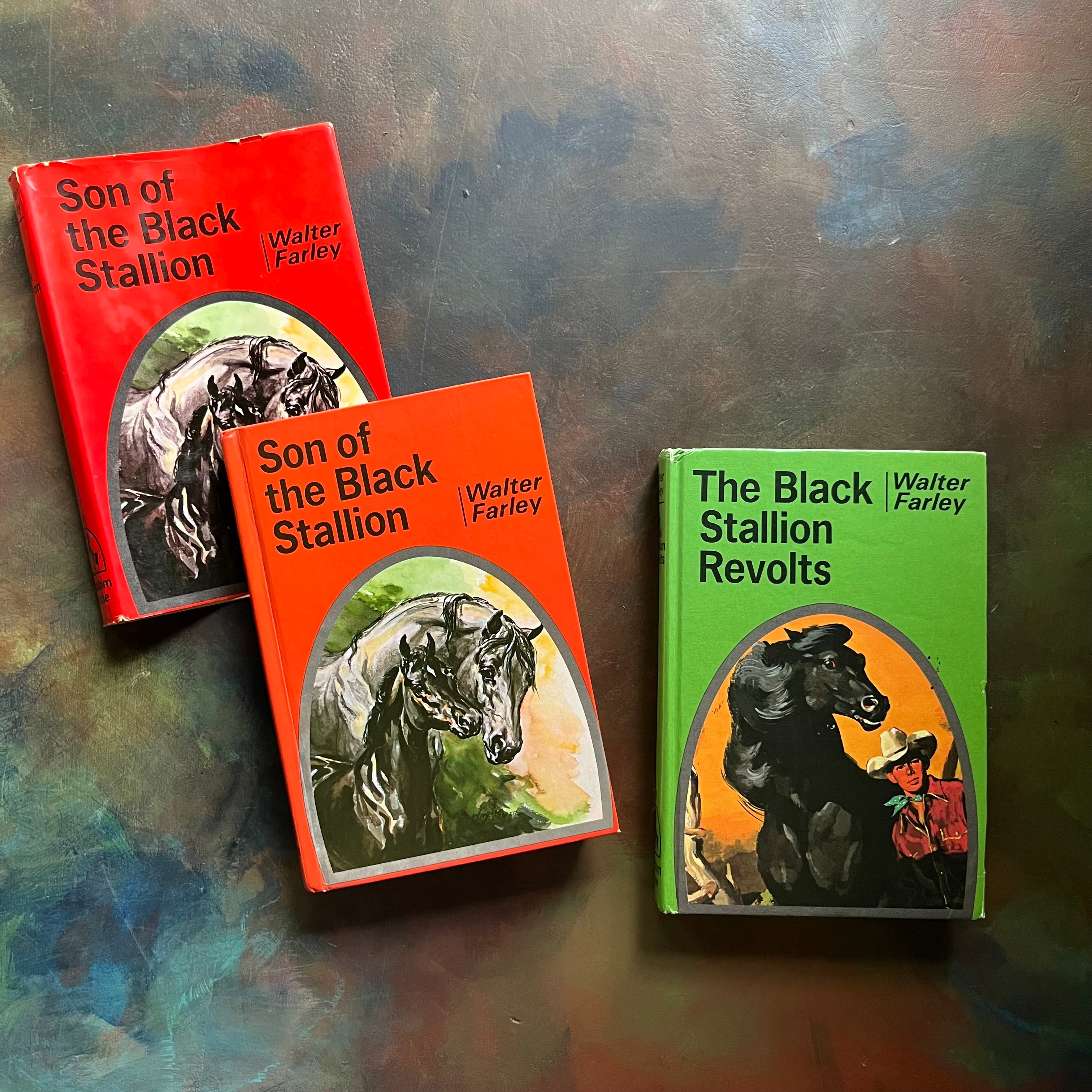 Pair of The Black Stallion Books written by Walter Farley-Son of The Black Stallion-The Black Stallion Revolts-vintage adventure horse books-view of the front covers