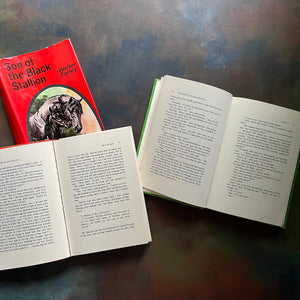 Pair of The Black Stallion Books written by Walter Farley-Son of The Black Stallion-The Black Stallion Revolts-vintage adventure horse books-view of the inside content