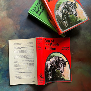 Pair of The Black Stallion Books written by Walter Farley-Son of The Black Stallion-The Black Stallion Revolts-vintage adventure horse books-view of the outside of the dust jacket of Son of the Black Stallion