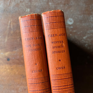 vintage children's books for children - Pair of The Teen-Age Library Book Editions Teen-Age Boy Scout Stories and Teen-Age Winter Sports Stories - view of a closeup of the titles written on the spines