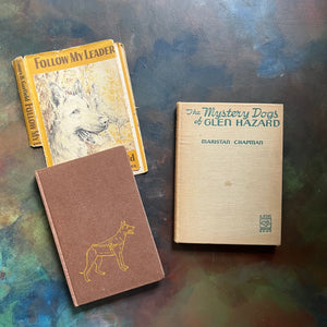 Pair of vintage dog books for children-Follow My Lead by James B. Garfield-The Mystery Dogs of Glen Hazard by Maristan Chapman-view of embossed front covers