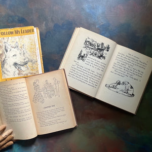 Pair of vintage dog books for children-Follow My Lead by James B. Garfield-The Mystery Dogs of Glen Hazard by Maristan Chapman-view of the black & white illustrations