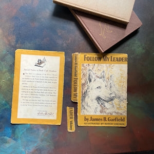 Pair of vintage dog books for children-Follow My Lead by James B. Garfield-The Mystery Dogs of Glen Hazard by Maristan Chapman-view of the dust jacket's cover - note condition