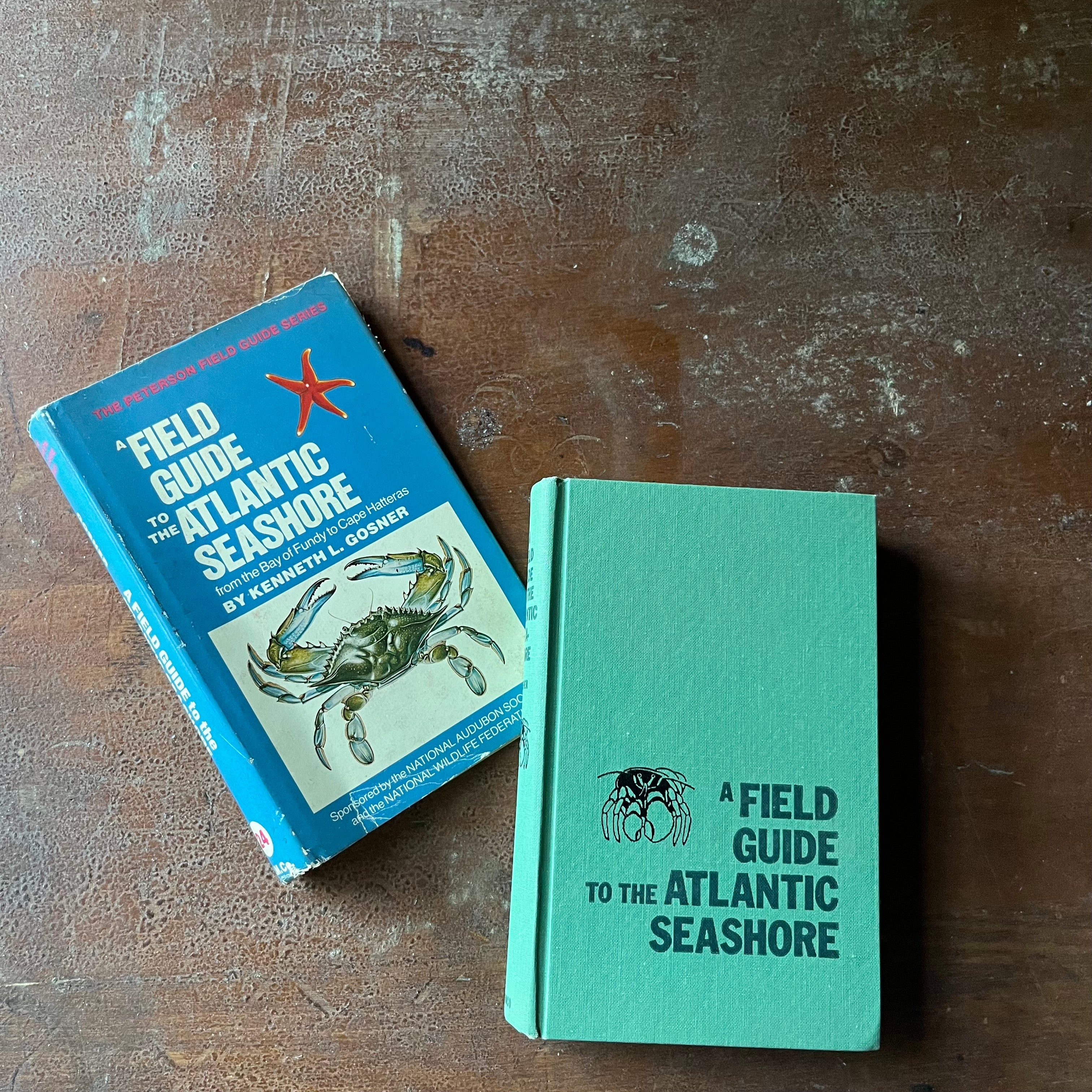 vintage nature guide, Peterson Field Guide-Field Guide to the Atlantic Seashore - view of the front cover