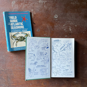 vintage nature guide, Peterson Field Guide-Field Guide to the Atlantic Seashore - view of the inside cover