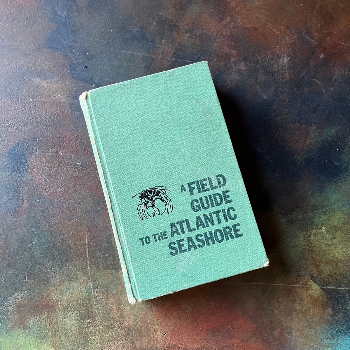 Peterson Field Series-A Field Guide to the Atlantic Seashore written & illustrated by Kennth L. Gosner-vintage field guide-collectible nature book-view of the front cover