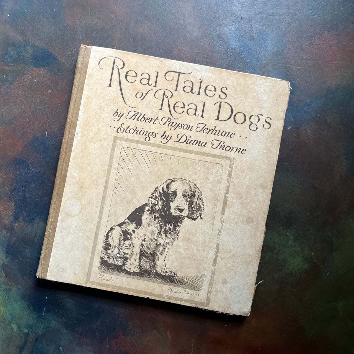 Real Tales of Real Dogs by Albert Payson Terhune-Diana Thorne-antique dog storybook-view of the front cover