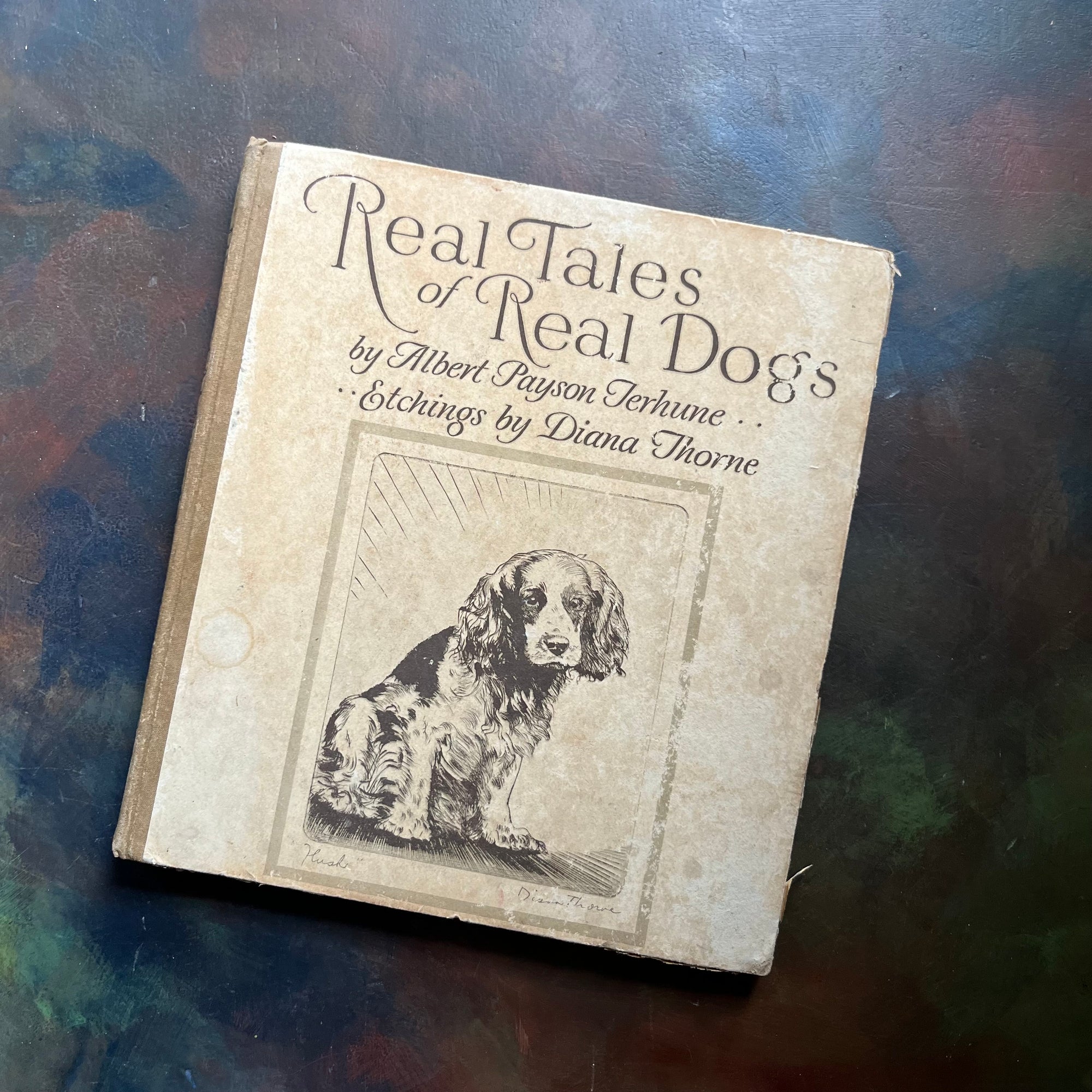 Real Tales of Real Dogs by Albert Payson Terhune-Diana Thorne-antique dog storybook-view of the front cover