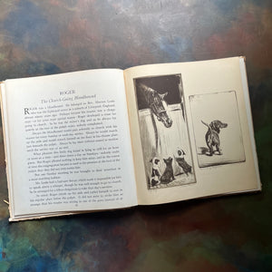 Real Tales of Real Dogs by Albert Payson Terhune-Diana Thorne-antique dog storybook-view of the illustrations