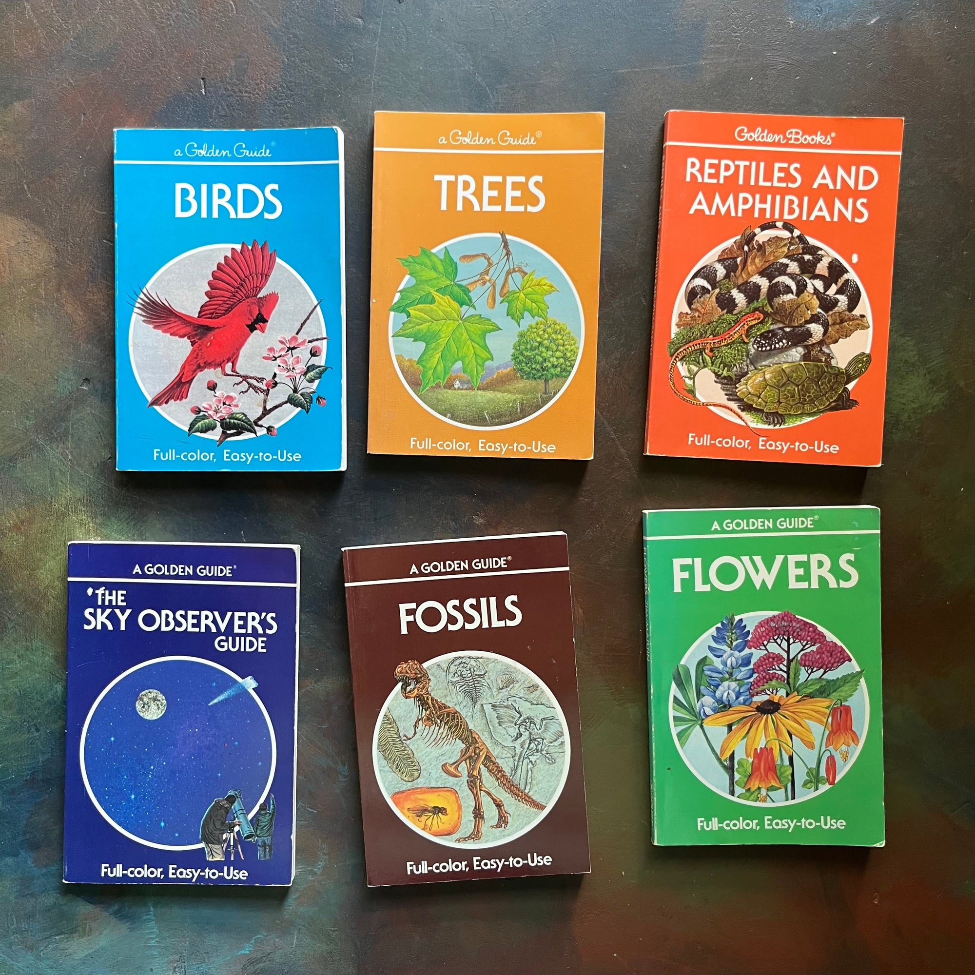 Set of 6 Golden Guides-Nature Pocket Guides-Flowers, Fossils, The Sky Observer's Guide, Reptiles & Amphibians, Trees & Birds-view of the front covers