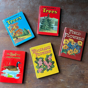 vintage nature guides - Set of Five Whitman Pocket Field Guides:  The Blue Book of Trees, The Red Book of Trees, The Red Book of Birds, Woodland Flowers & Field Flowers - view of the front covers
