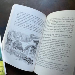 Set of Three Marguerite Henry Horse Books-Misty of Chincoteague-Newbery Honor Book-Welsey Dennis Illustrations-vintage children's books-view of the illustrations