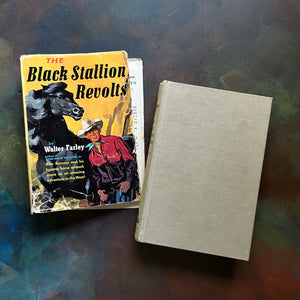 The Black Stallion Revolts by Walter Farley-vintage Black Stallion Serie Book-adventure books for children-view of the front cover