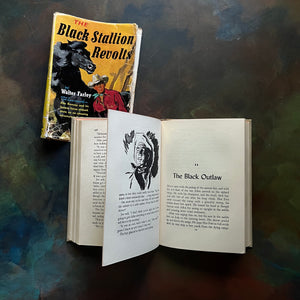 The Black Stallion Revolts by Walter Farley-vintage Black Stallion Serie Book-adventure books for children-view of the illustrations