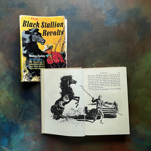 The Black Stallion Revolts by Walter Farley-vintage Black Stallion Serie Book-adventure books for children-view of the illustrations