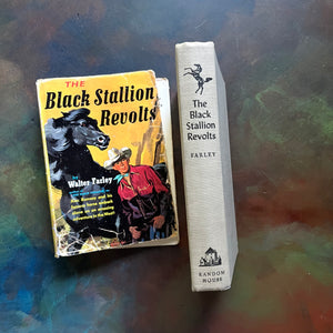 The Black Stallion Revolts by Walter Farley-vintage Black Stallion Serie Book-adventure books for children-view of the spine