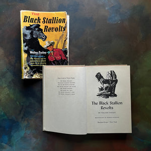 The Black Stallion Revolts by Walter Farley-vintage Black Stallion Serie Book-adventure books for children-view of the title page