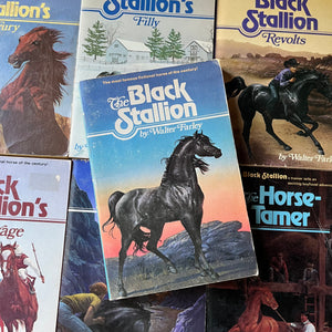 vintage children's chapter books, adventure books for children - The Black Stallion Series 20 Book Set by Walter Farley - view of the cover of the Black Stallion with other books from the series in the background