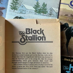 vintage children's chapter books, adventure books for children - The Black Stallion Series 20 Book Set by Walter Farley - view of the first page of The Black Stallion - someone cut a small piece out of the top right hand corner of the page