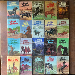 vintage children's chapter books, adventure books for children - The Black Stallion Series 20 Book Set by Walter Farley - view of the front covers