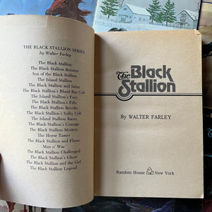 vintage children's chapter books, adventure books for children - The Black Stallion Series 20 Book Set by Walter Farley - view of the title page & book list pages